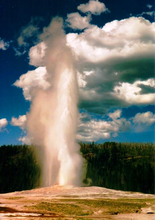 Yellowstone-Amy-2.jpg